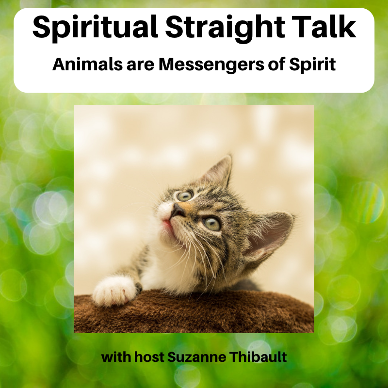 Episode 91 – Animals are Messengers of Spirit | Soul Safari - Suzanne  Thibault